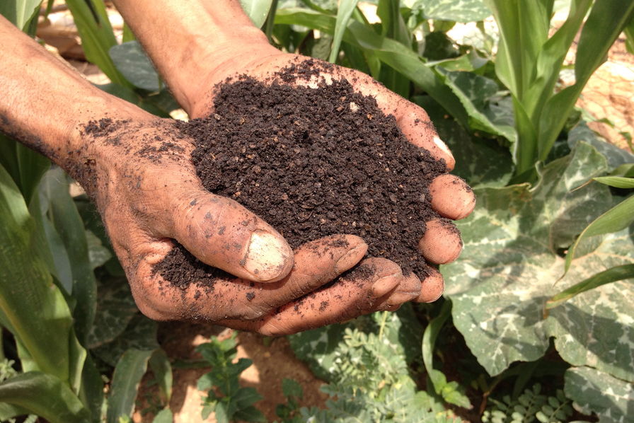 
           Vulgarisation des biopesticides et des biofertilisants en Afrique, un  enjeu majeur pour une agriculture durable  - Médiaterre 