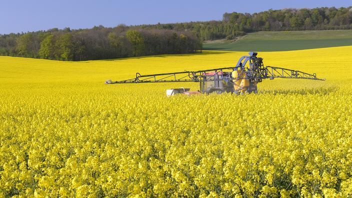 
           Souveraineté alimentaire : comment la France veut réduire sa dépendance au soja brésilien 