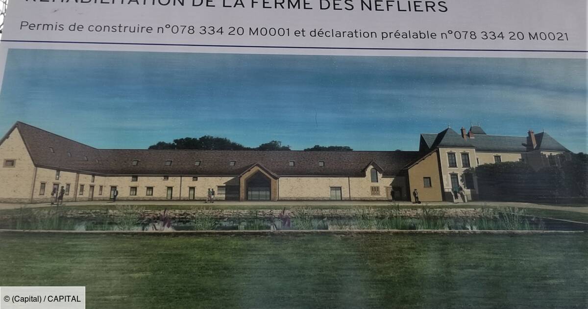 
          Xavier Niel va lancer une école d’agriculture gratuite