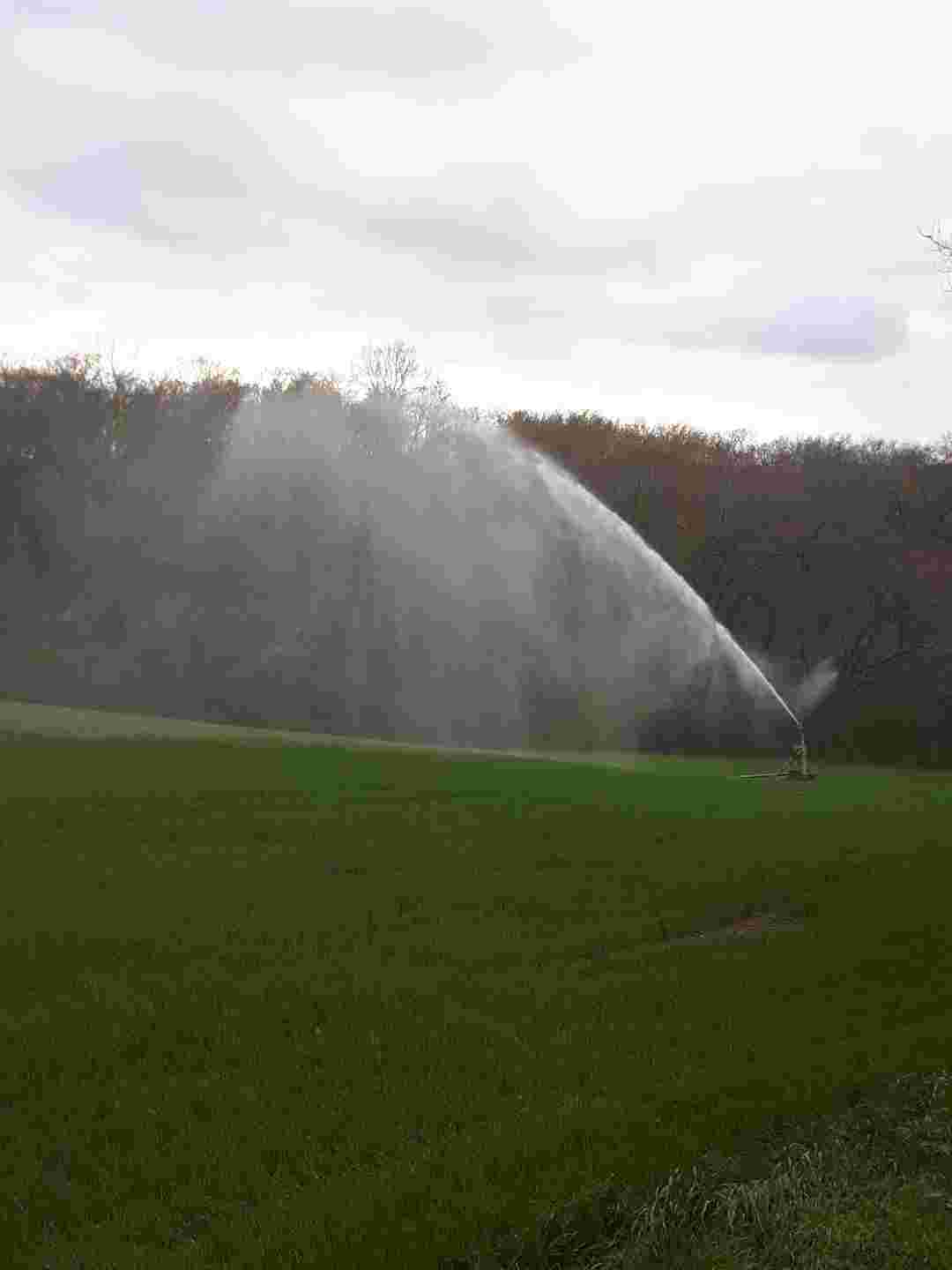 Irrigation du blé dans le soud ouest ?