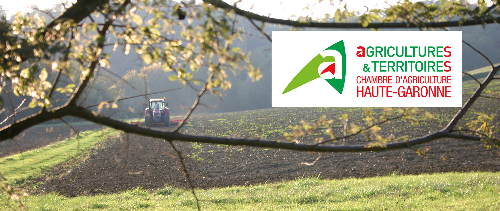 
          PAC : modification d’assolement après le 15 mai 