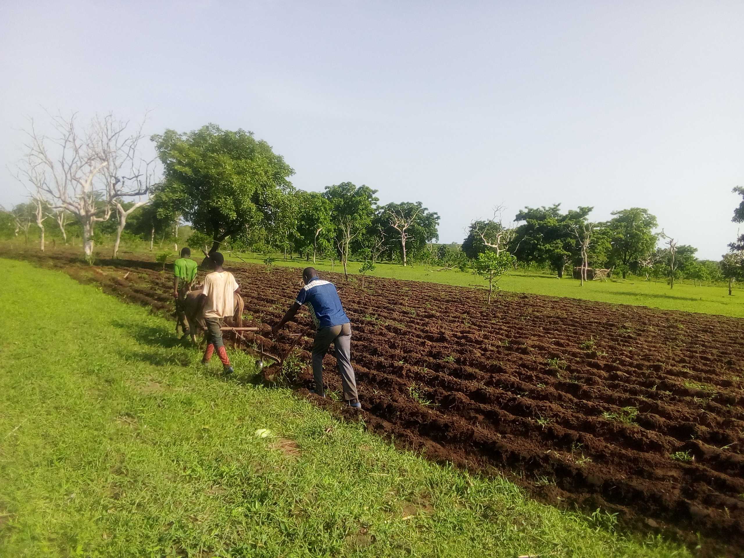 Controleur Interne à Soycain Bénin