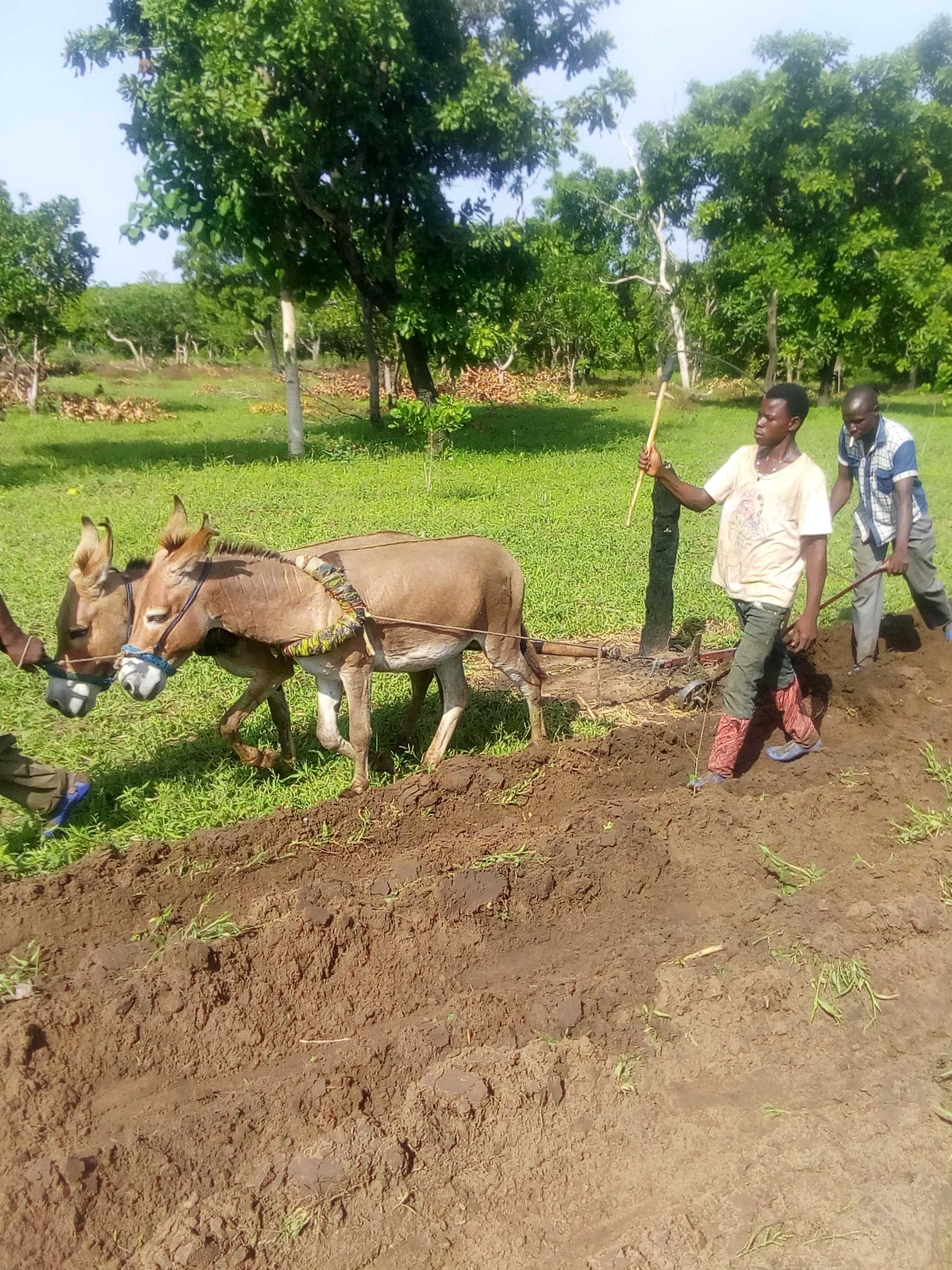 Controleur Interne à Soycain Bénin