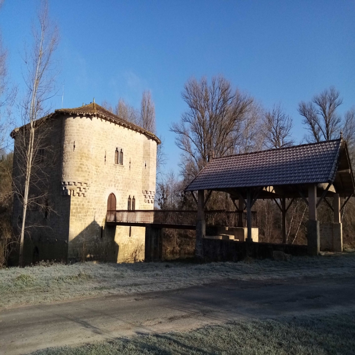 
          Voici quelques vues hivernales de Gironde, sud-ouest France, secteur Entre-Deux-Mers. Ici viticulture (en coteaux séchants) et grandes cultures (en vallées aux terres plus profondes) se partagent l'espace. Des paysages variés, et un riche patrimoine historique, avec bastides et villages datant du Moyen Âge...A cette saison, les céréales et couverts d'hiver (ici des féveroles) sont déjà bien développés, un peu de verdure !