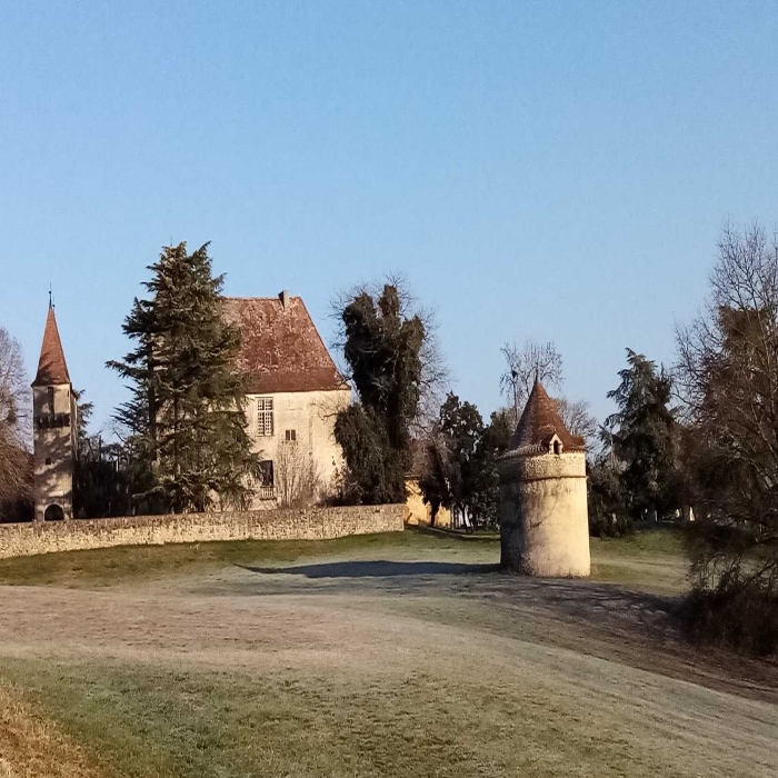 Voici quelques vues hivernales de Gironde, sud-ouest France, secteur Entre-Deux-Mers. Ici viticulture (en coteaux séchants) et grandes cultures (en vallées aux terres plus profondes) se partagent l'espace. Des paysages variés, et un riche patrimoine historique, avec bastides et villages datant du Moyen Âge...
A cette saison, les céréales et couverts d'hiver (ici des féveroles) sont déjà bien développés, un peu de verdure !
