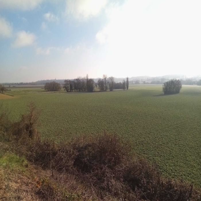 Voici quelques vues hivernales de Gironde, sud-ouest France, secteur Entre-Deux-Mers. Ici viticulture (en coteaux séchants) et grandes cultures (en vallées aux terres plus profondes) se partagent l'espace. Des paysages variés, et un riche patrimoine historique, avec bastides et villages datant du Moyen Âge...
A cette saison, les céréales et couverts d'hiver (ici des féveroles) sont déjà bien développés, un peu de verdure !

