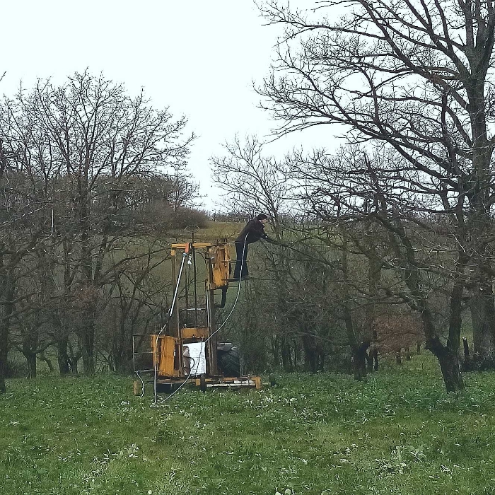 Pruniers du Lot et Garonne. Ces pruniers à l'origine des fameux pruneaux d'Agen. A l'heure de la taille, c'est intéressant de voir de plus en plus de vergers où des féveroles sont présentes, soit dans entre les rangs d'arbres, soit sur les rangs. Les féveroles occupent très utilement l'espace, améliorant la structure du sol grâce à leur système racinaire, apportant de l'azote profitable pour les arbres... 