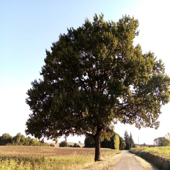 Bonjour, la campagne est belle en toutes saisons ! N'hésitez pas à partager et faire découvrir vos paysages, pour le plaisir des yeux...