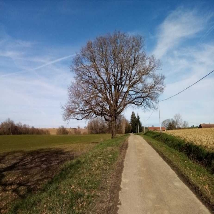 Bonjour, la campagne est belle en toutes saisons ! N'hésitez pas à partager et faire découvrir vos paysages, pour le plaisir des yeux...