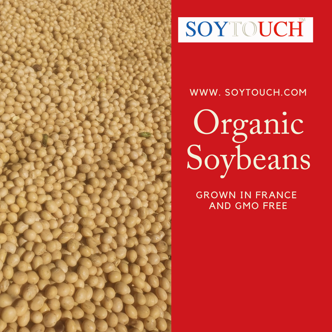 
          Soytouch