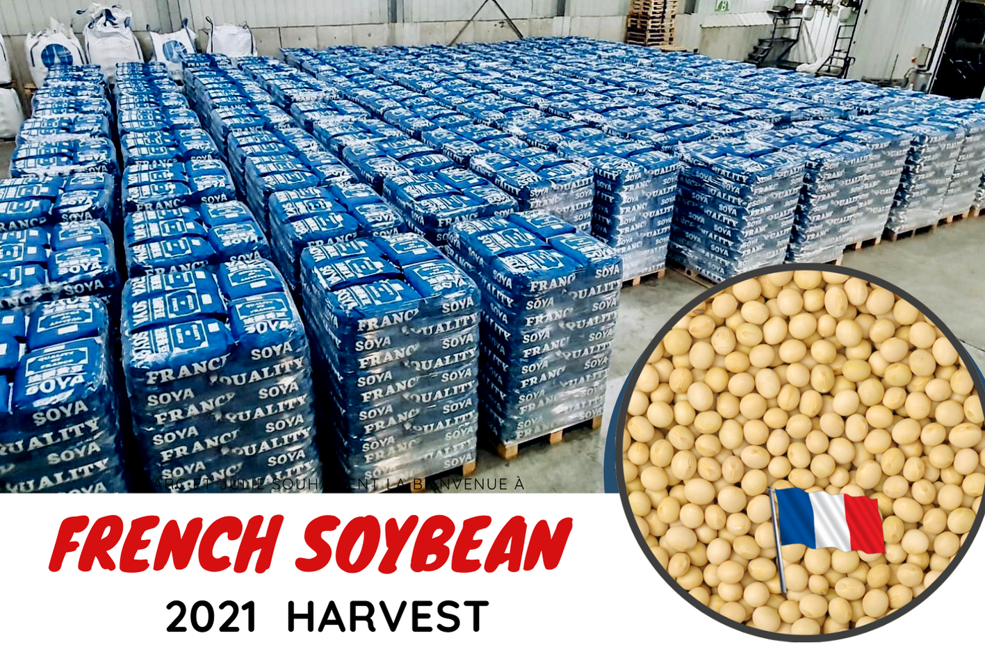 
          Stockage du soja 🤠 pour la campagne 2021