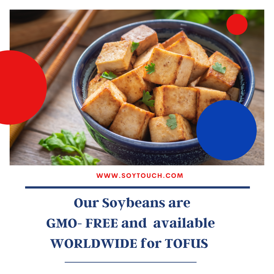 
          Soytouch Soybeans 