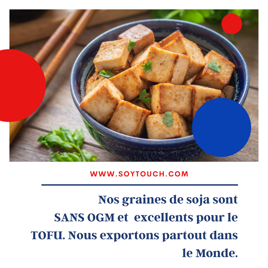 
          Soja Soytouch : le Soja français Sans OGM.