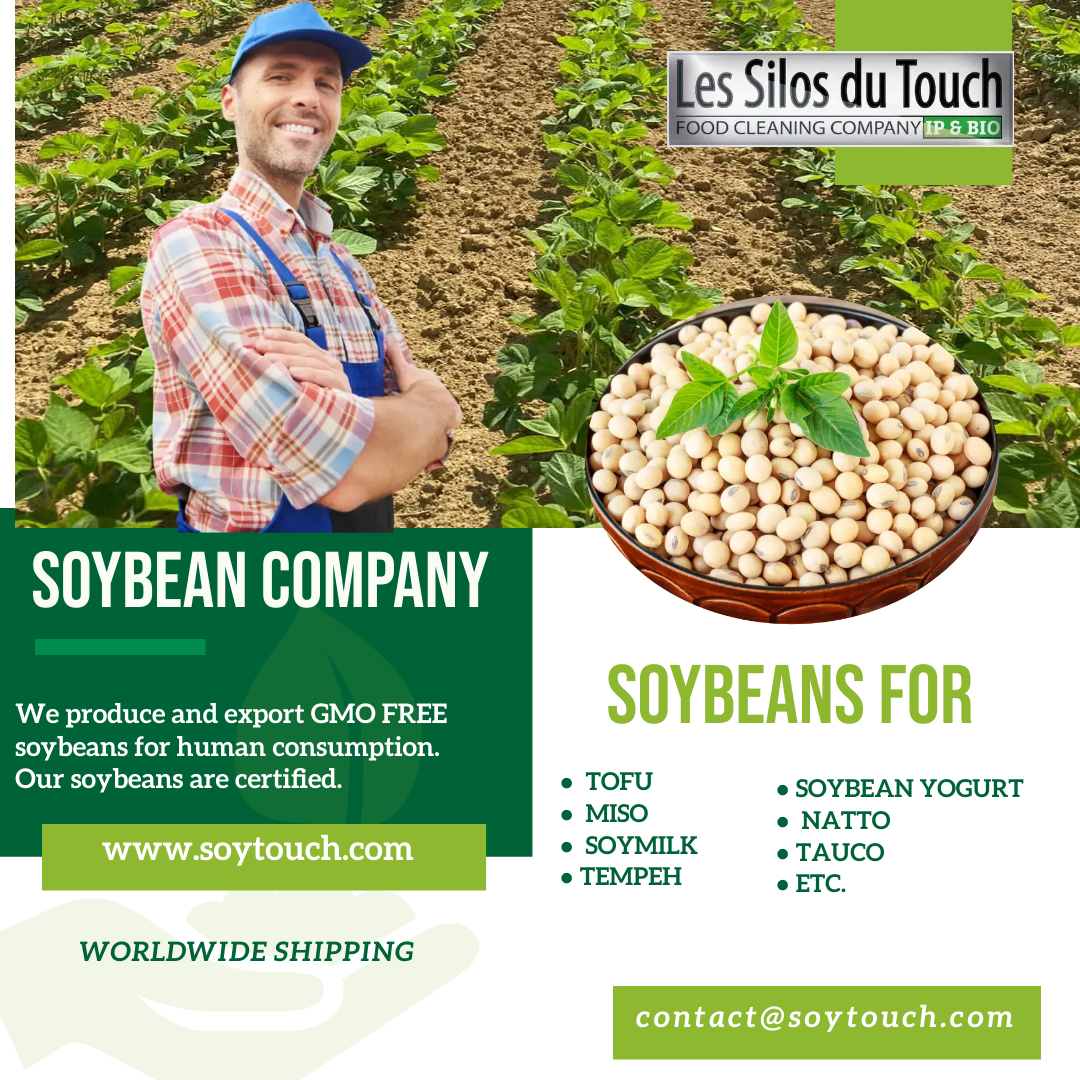 
          Certified food grade soybeans