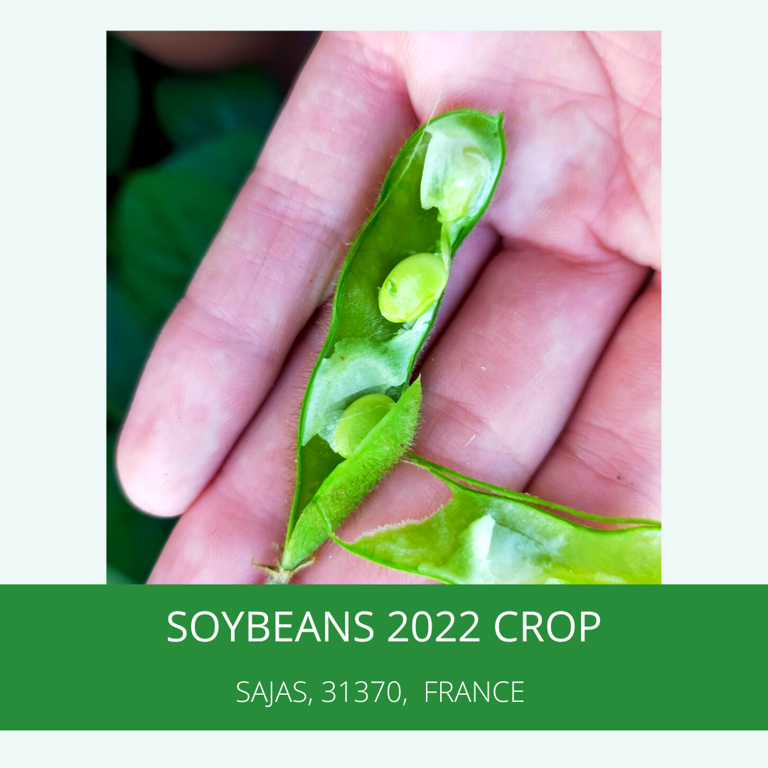 
          First soybeans  for 2022  crop