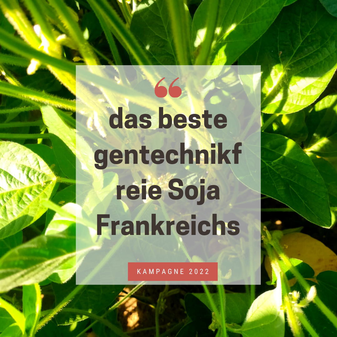 
          Französische Sojabohnen 2022 Ernte