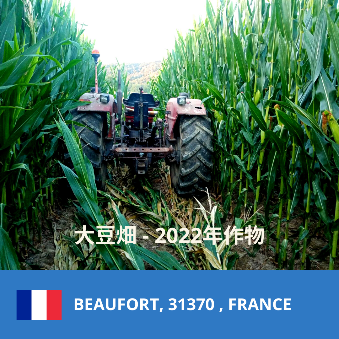 
          法国2022年大豆运动