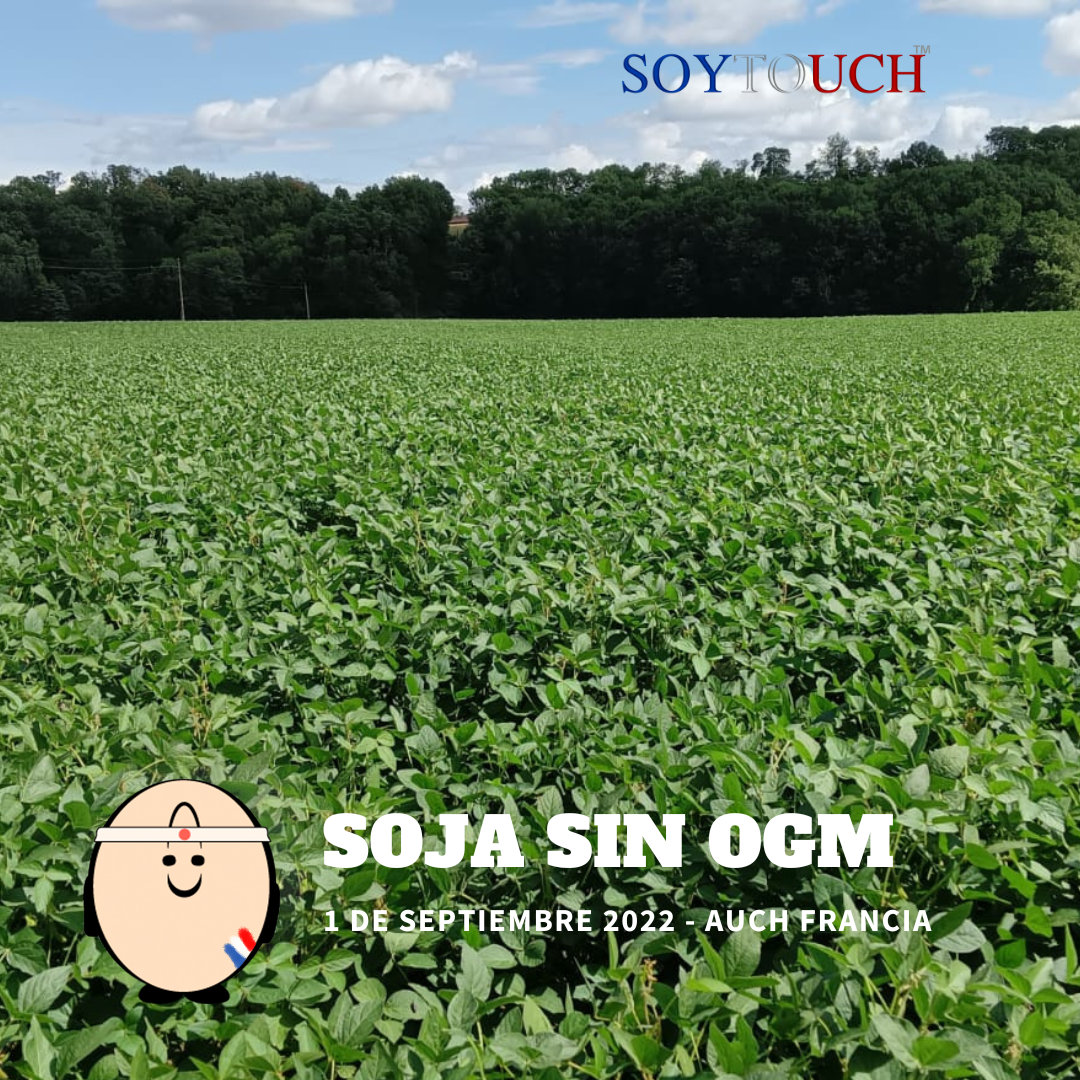 
          El experto en soja sin OGM en Francia
