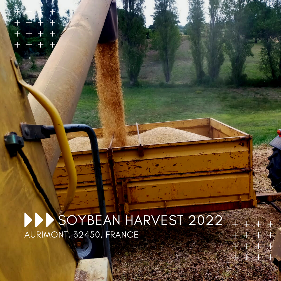 
          Soytouch news -september 2022