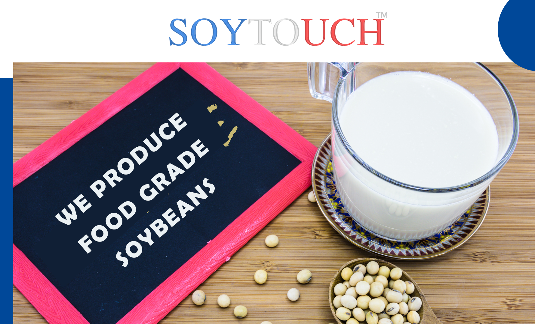 
          Soytouch - November 17th