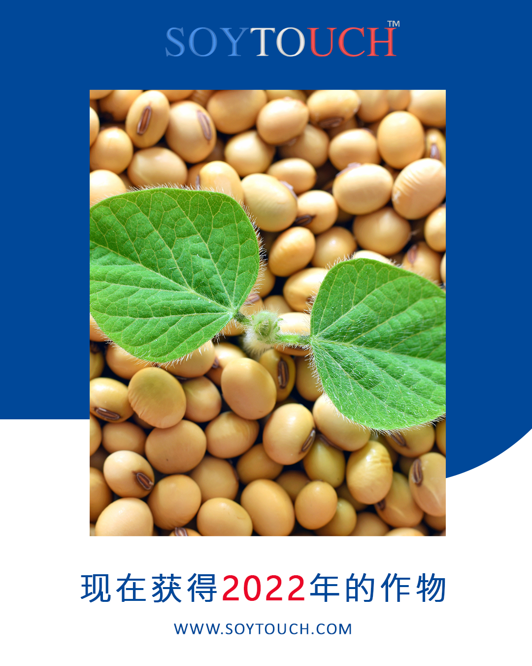 
          Soytouch news 06 /12 / 2022