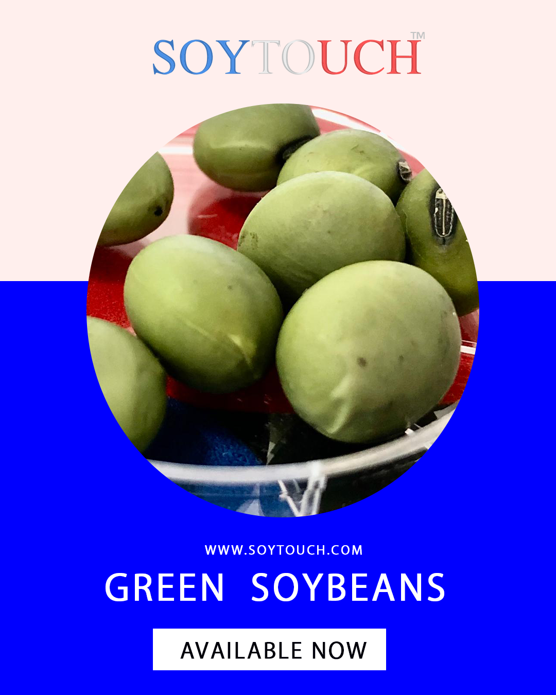 
          Premium soubeans or 2022 crops