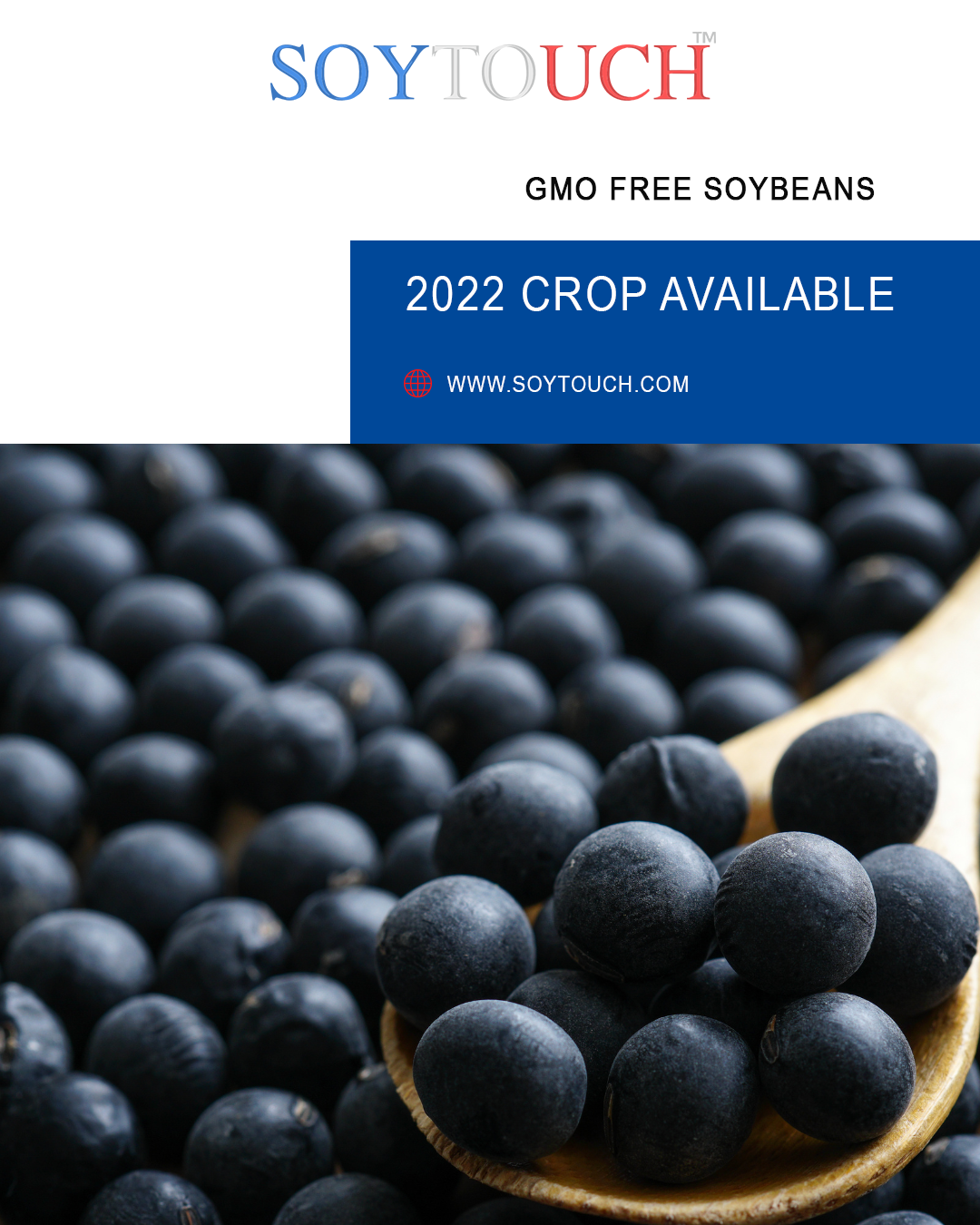 
          Soytouch - 21th December  2022