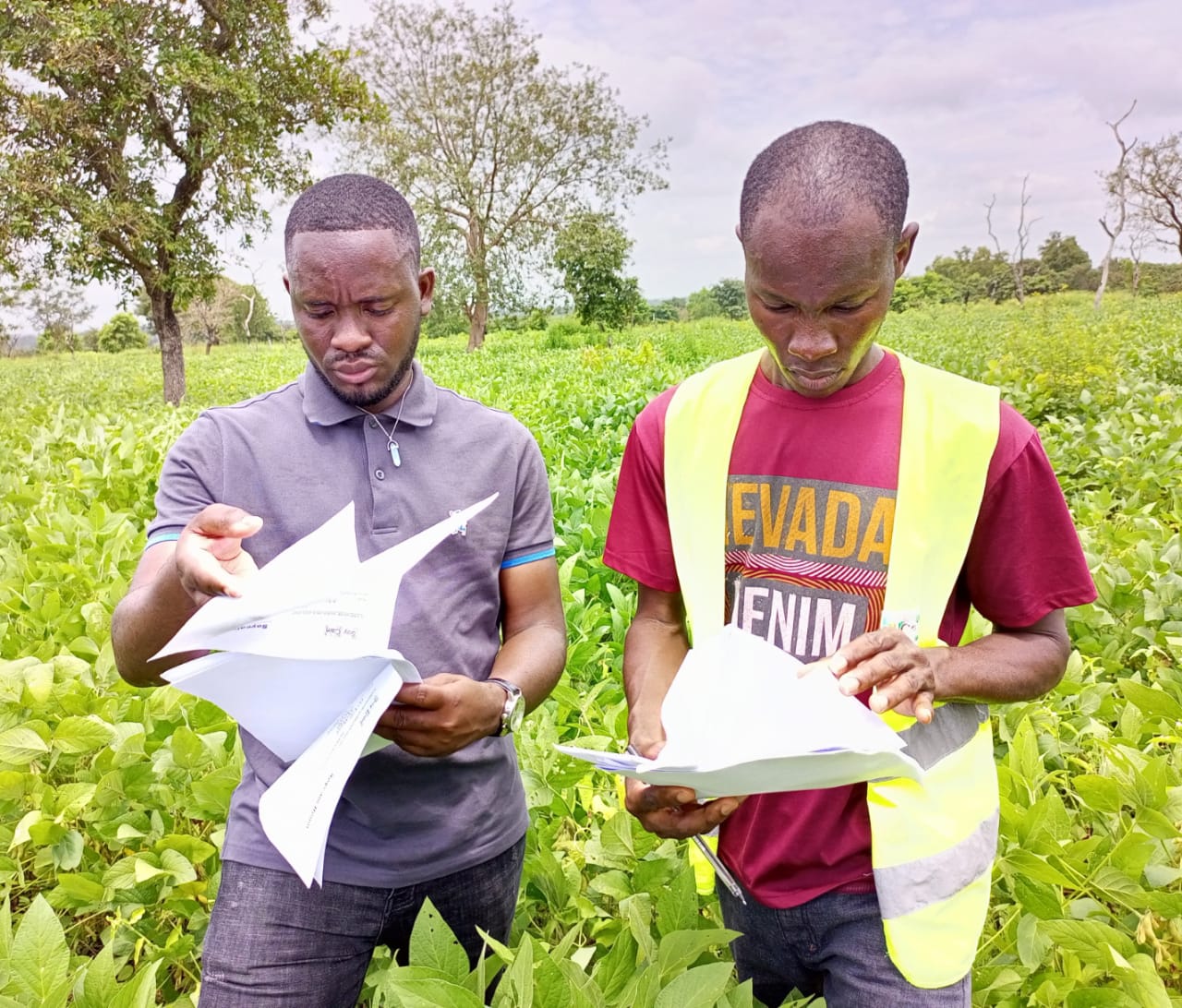 
          Audit externe à SOYCAIN BENIN