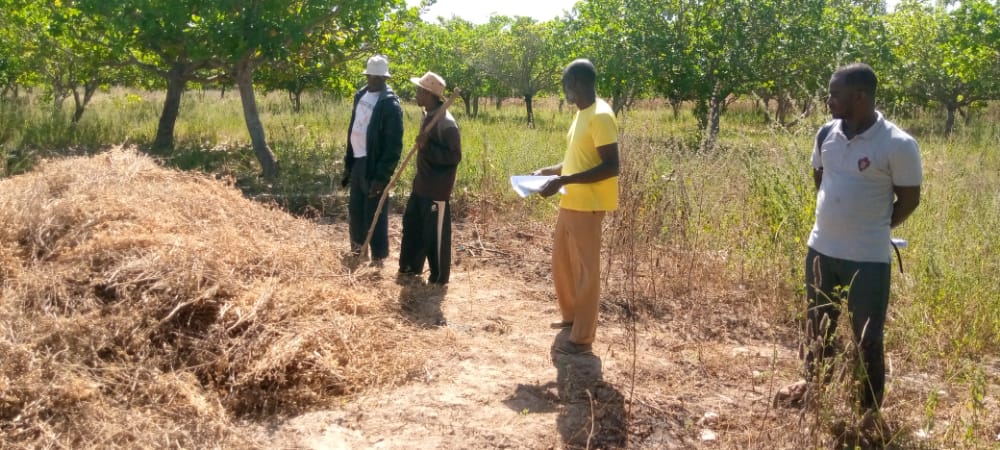 
          Audit externe pour la certification biologique chez SOYCAIN en Côte d'ivoire