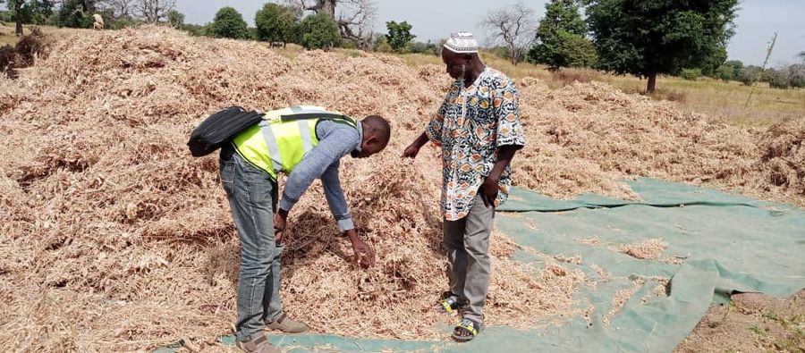 
          Récolte de soja biologique chez SOYCAIN au Burkina-faso