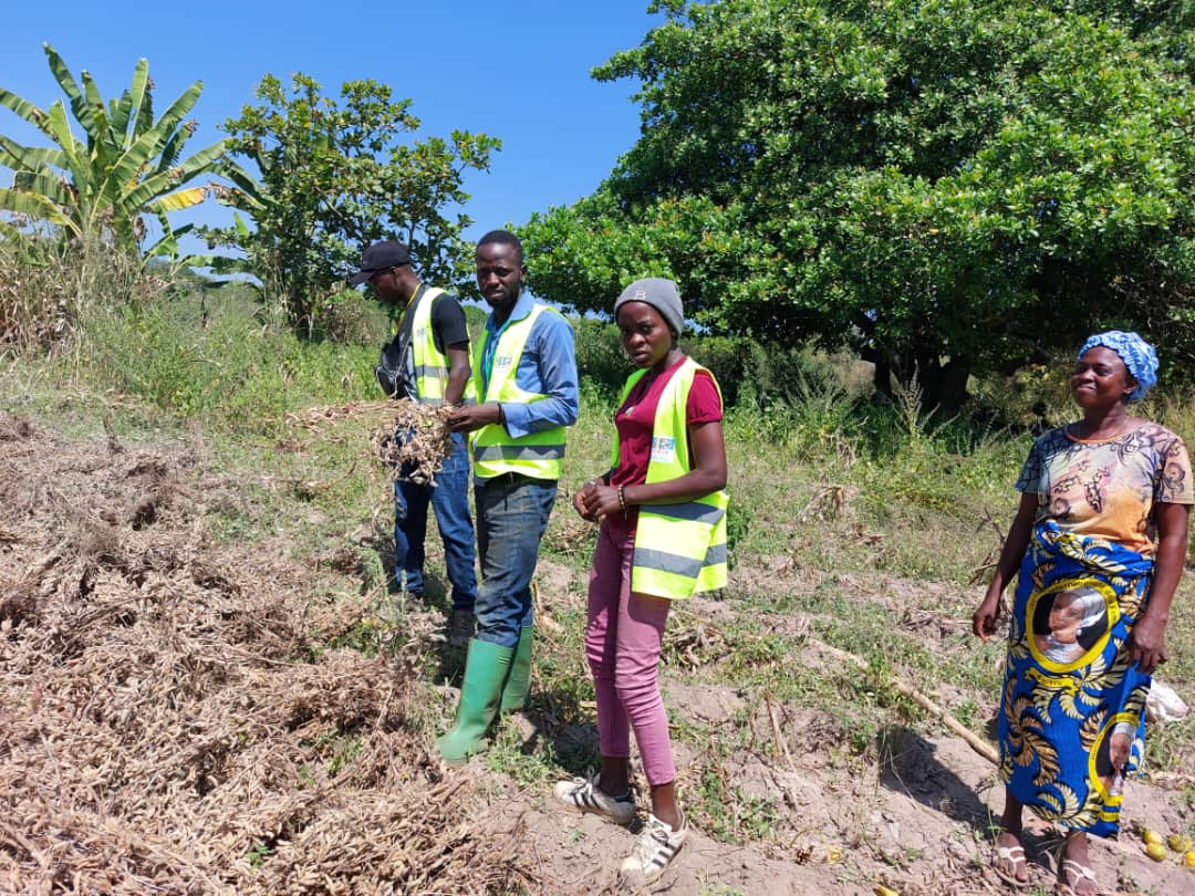 
          Supervision des activités de récolte chez SOYCAIN au Bénin