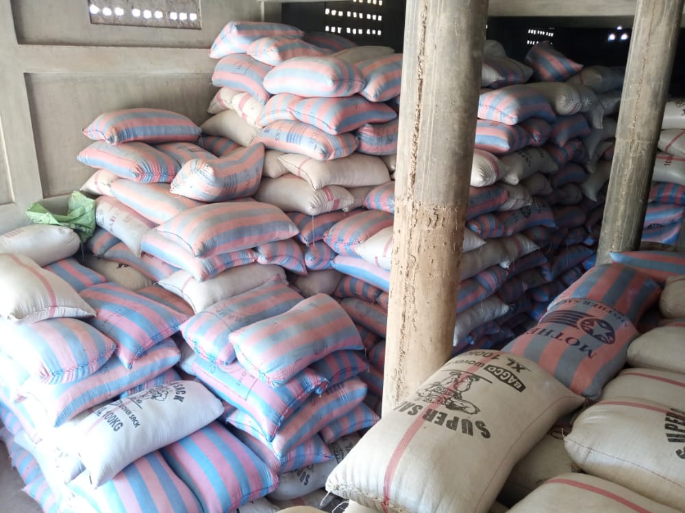 
          Démarrage des collectes des sojas bio par SOYCAIN au Bénin
