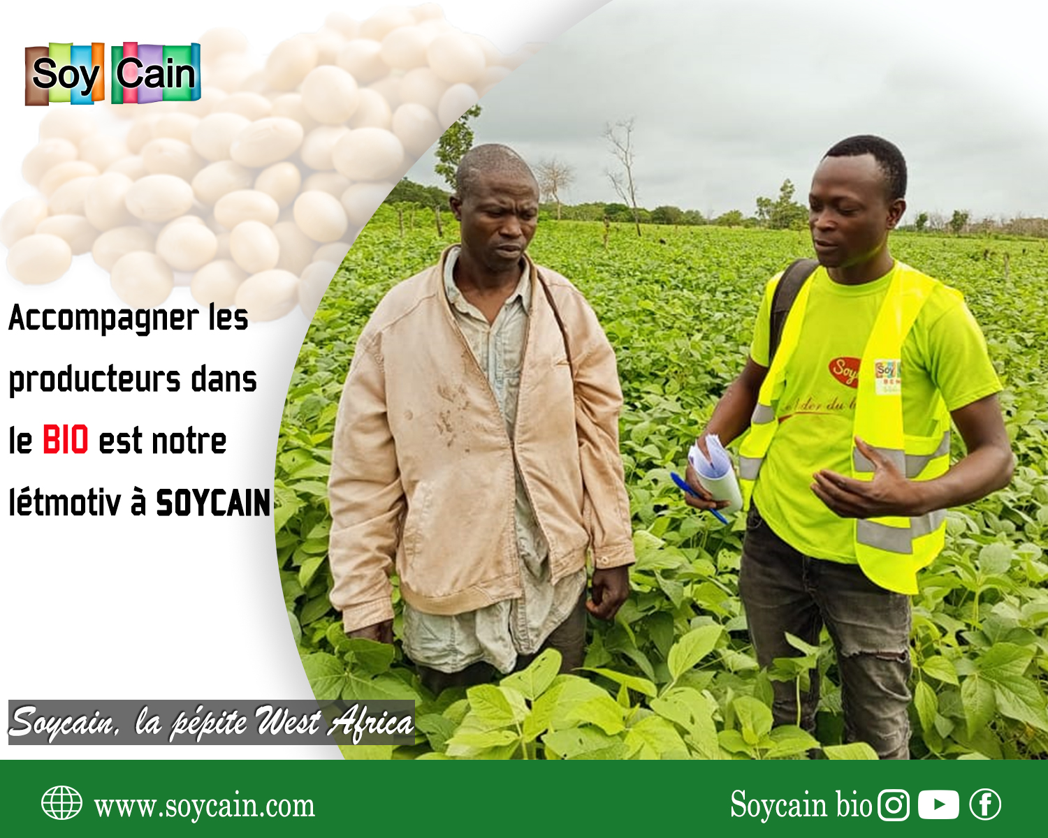 
          Soycain, la pépite west Africa