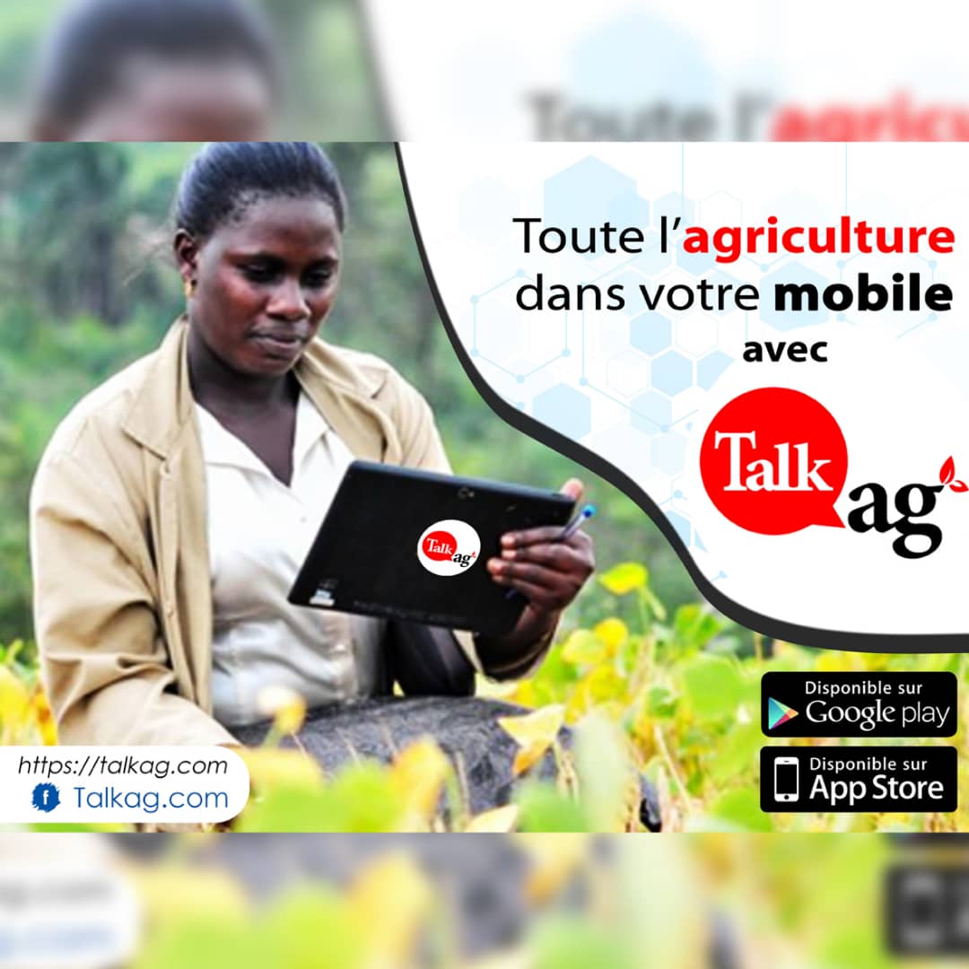 
          Adjabahoue
