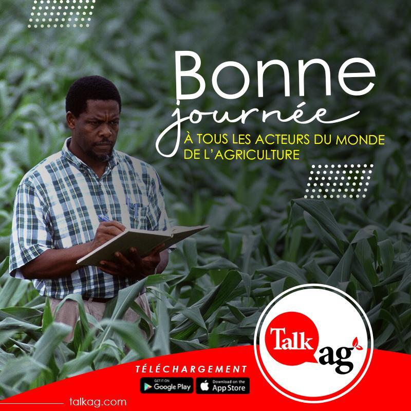 
          Adjabahoue