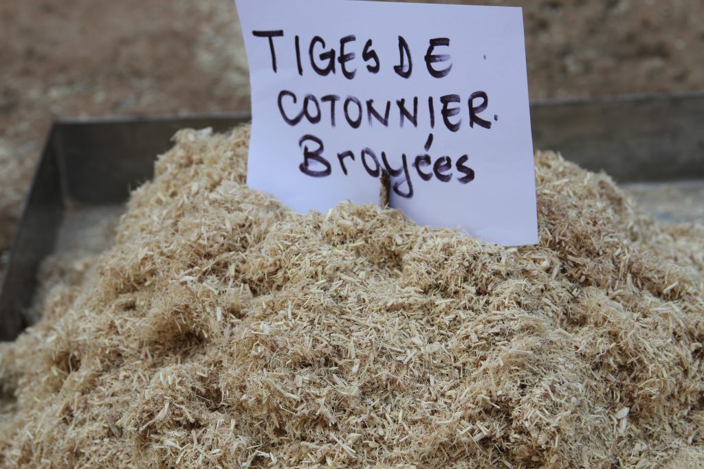 
          Mieux valoriser les tiges de cotonnier