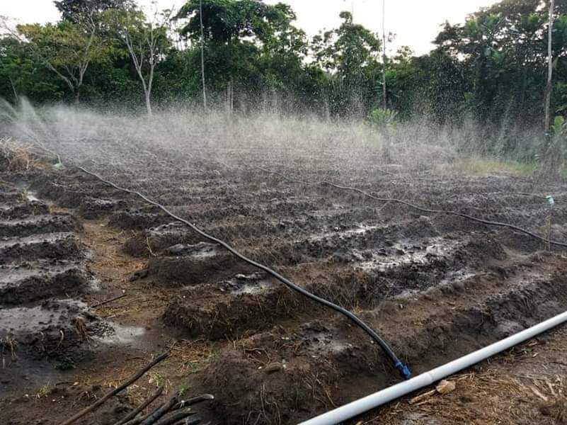 
          L'irrigation , une valeur ajoutée