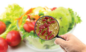 
          Une plateforme électronique au Sénégal sur les maladies d'origine alimentaire