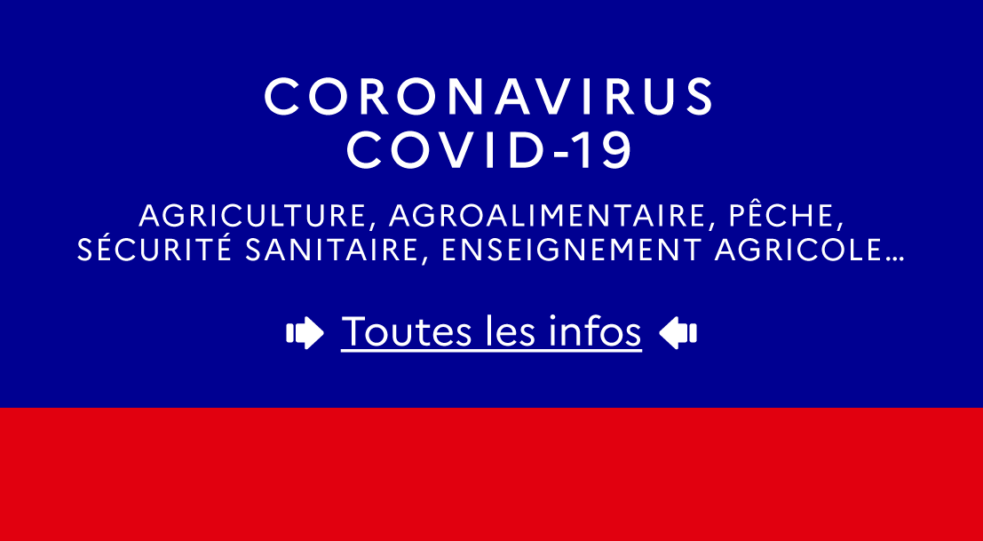 
           COVID-19 : informations sur les secteurs du ministère de l'Agriculture et de l'Alimentation 