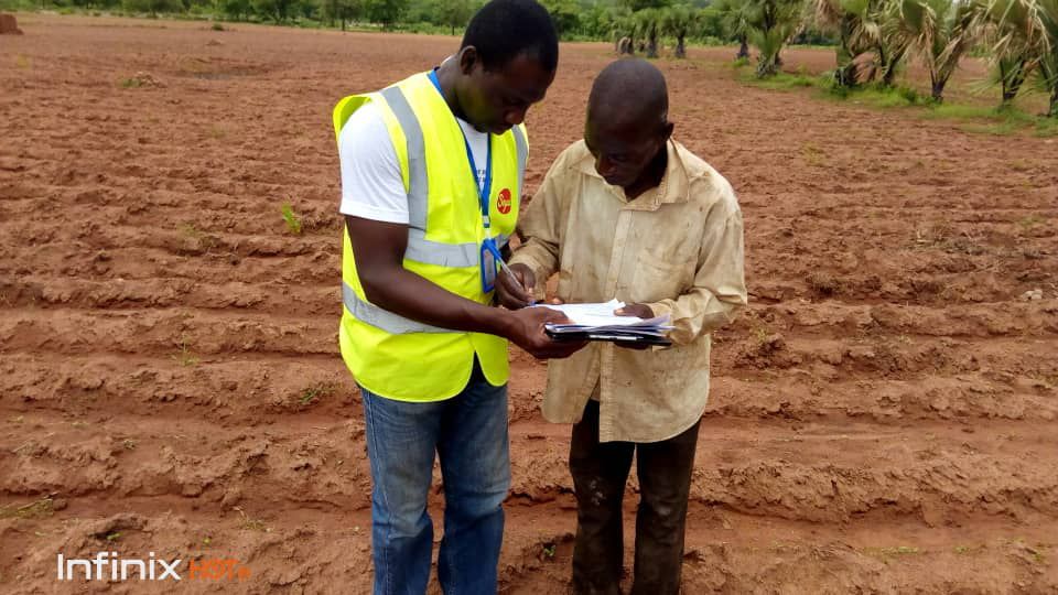 Déjà les semis dans le nord Togo.
L'écartement est une exigence dans le bio.