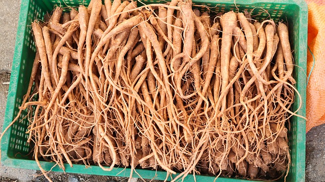
          UE : Feu vert des 27 pour viser 25 % d’agriculture bio d’ici 2030