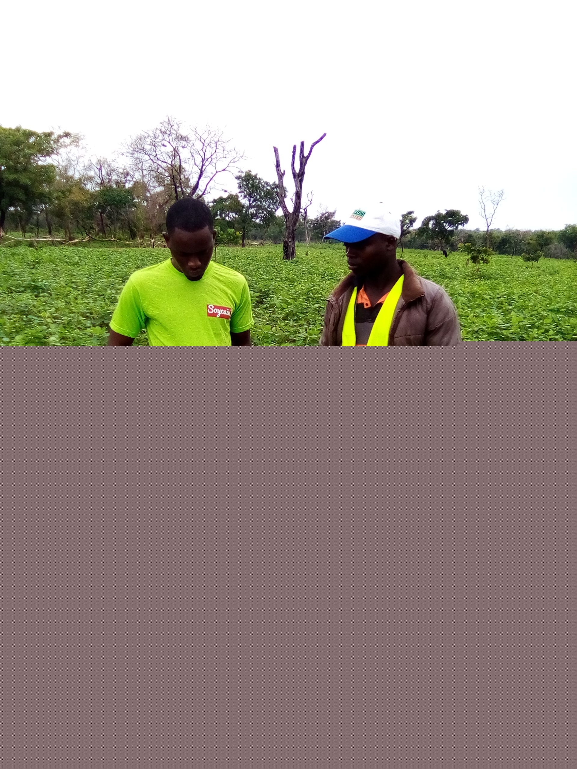 Soycain Bénin