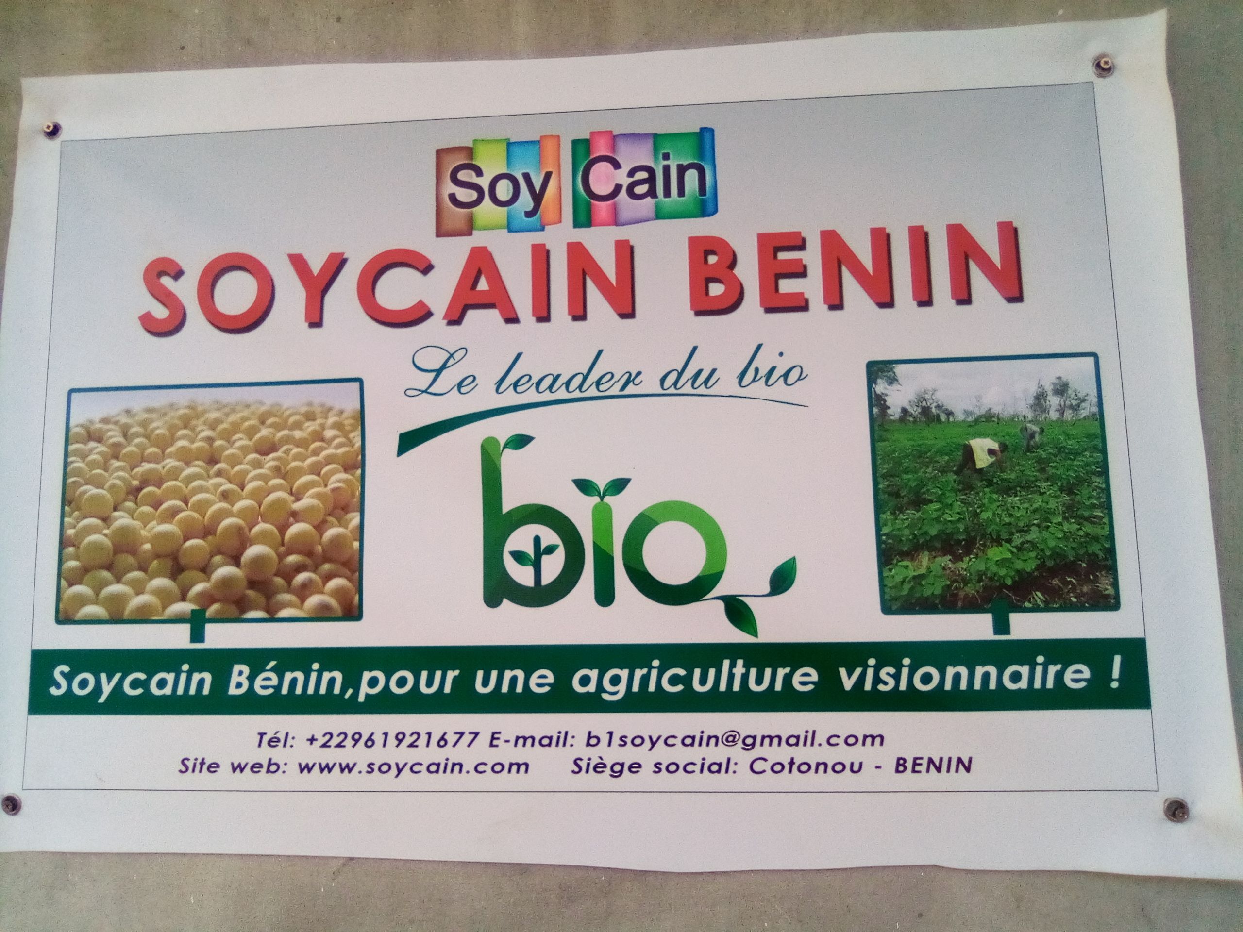 Soycain