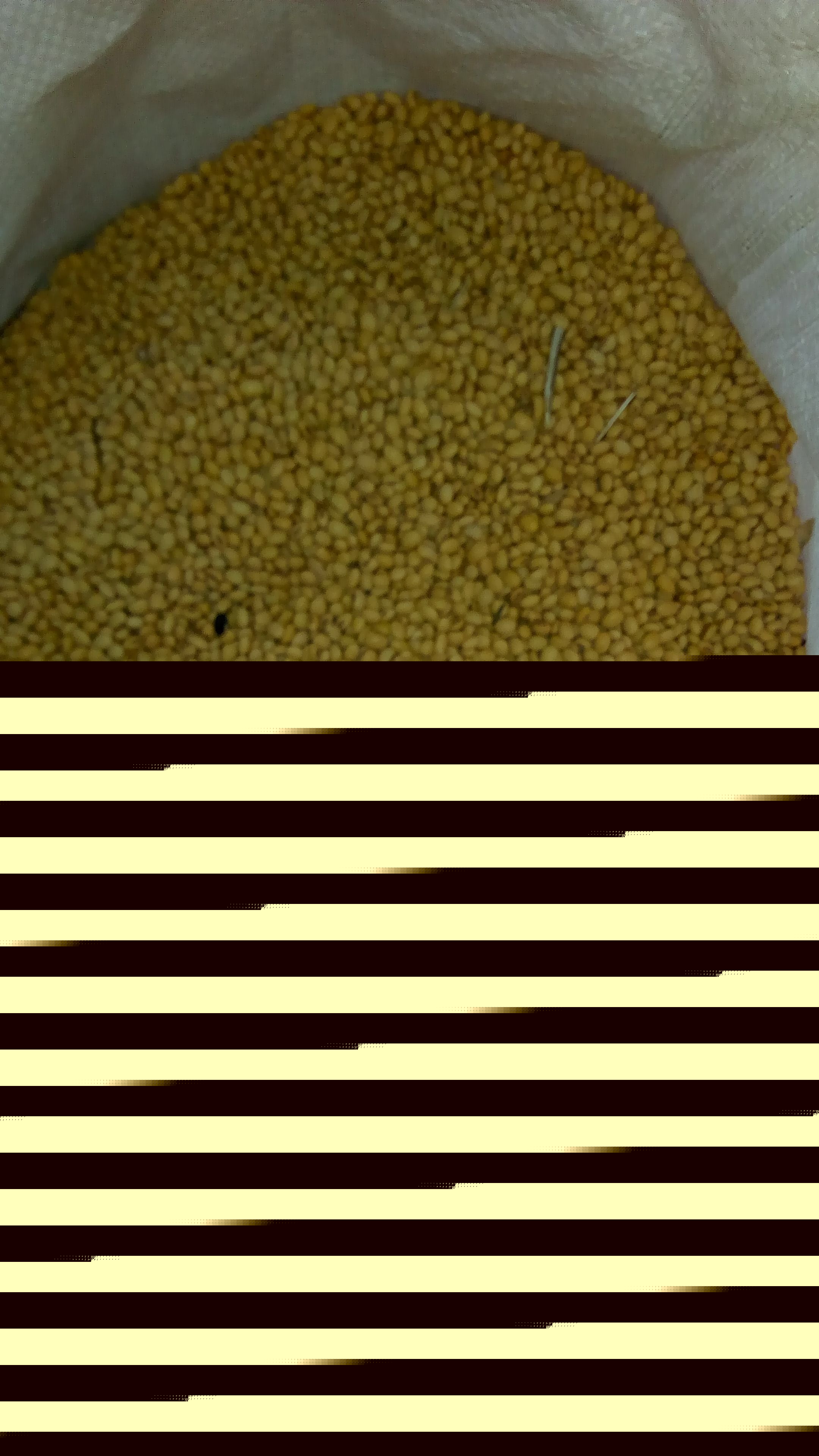 Assenim