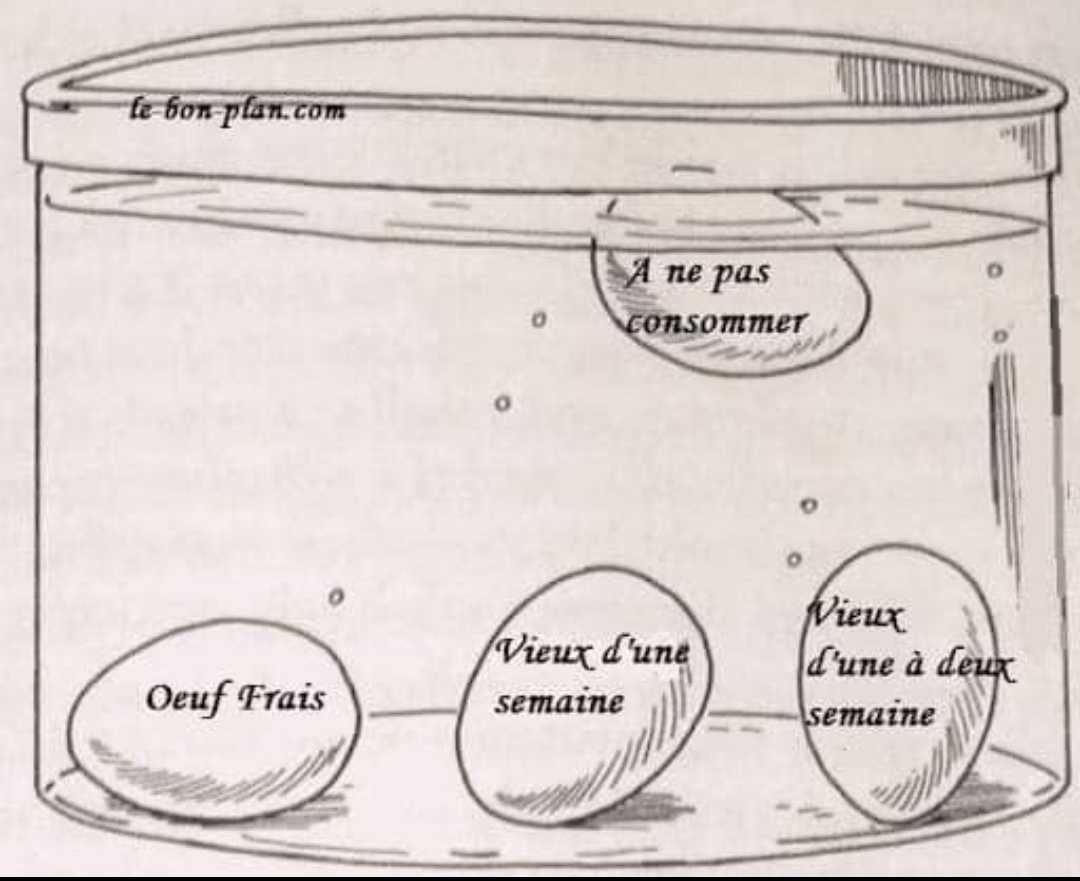 
          Savoir la qualité d'un œuf