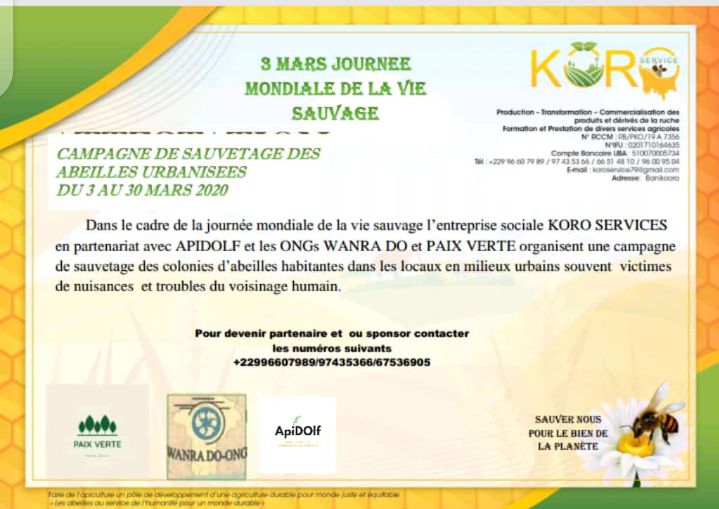 
          Campagne de sauvetage des abeilles en milieu urbain au Bénin