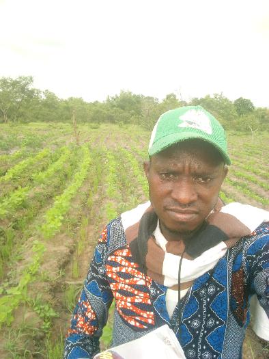 Soja bio notre affaires
