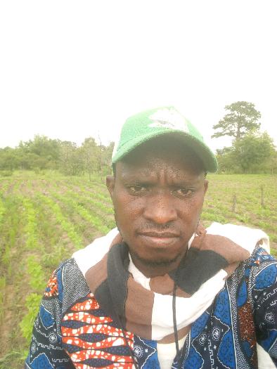 Soja bio notre affaires